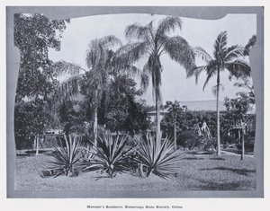 凯恩斯Kamerunga国家苗圃的经理住宅（黑白照片）。 作者 澳大利亚摄影师