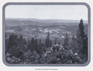 皮卡迪利，从洛夫蒂山（Mount Lofty Ranges）看（黑白照片）。 作者 澳大利亚摄影师