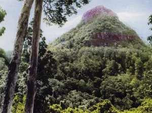 澳大利亚昆士兰州。科多山（照片 作者 澳大利亚摄影师