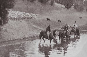 The Rest, Typical Australian Stockmen (b/w photo) 作者 澳大利亚摄影师