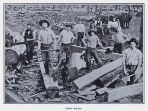 Timber Workers (b/w photo) 作者 澳大利亚摄影师