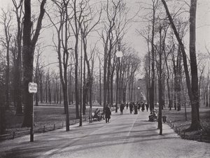 Im Tiergarten, Ahornsteig (b/w photo) 作者 德国摄影师