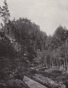 Partie aus dem Polenztal (b/w photo) 作者 德国摄影师