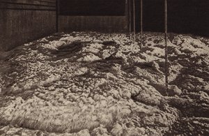 都柏林圣詹姆斯门酿酒厂发酵罐（黑白照片） 作者 爱尔兰摄影师