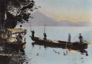 日本，约1912年。与鸬鹚一起捕鱼，长良川（照片）。 作者 摄影师 日本人