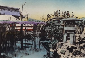 日本，约 1912 年：龟户寺以五月的紫藤花和鼓楼的鼓桥而闻名（照片）