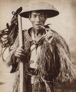 日本苦力（农场工人）戴着帽子在稻田里躲避大雨（黑白照片）。