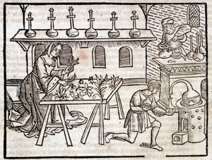 Medicine through plants and their virtues - in “” Des profits champêtres et ruraux”” by Pierre de Crescent, Paris 作者 皮耶罗·达·克雷森蒂诺