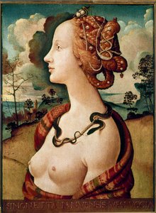 Piero di Lorenzo dit Piero di Cosimo (1462-1521) 1480 Sun.0.57 X 0.42 m Chantilly，Musee Conde 作者 皮耶罗迪科西莫