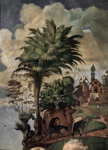 圣母和圣婴在宝座上，细节（油画和蛋彩画板，约1493年）。 作者 皮耶罗迪科西莫