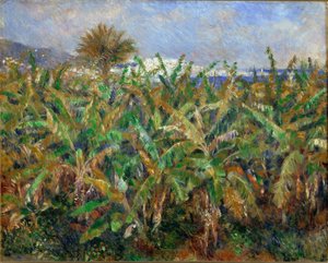 Champs de Bananiers - Banana-field（油画） 作者 