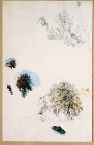 树木研究 作者 皮埃尔·奥古斯特·雷诺阿