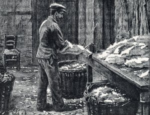 皮革：将兔皮劈成皮革 皮埃尔·卡尔梅特 (Pierre Calmette) 私人收藏的“Excursion a travers les metiers”雕刻 作者 皮埃尔·卡尔梅特