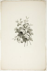 玫瑰花束，选自《不同花束集》，由让-皮莱芒发明和绘制，P. C. 卡诺雕刻