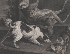 狗和静物，1778年
