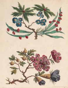两束想象中的花朵