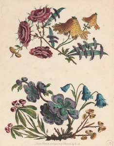 两朵想象中的花