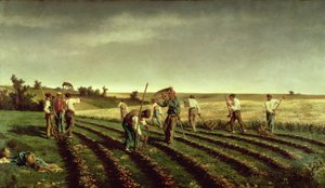 1882年在Chambaudouin收获Sainfoin
