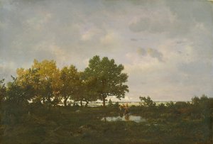 池塘拉马雷，1855年。 作者 Pierre Etienne Theodore Rousseau