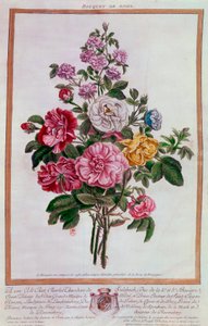 玫瑰花束 皮埃尔-约瑟夫-布霍兹（1731-1807）平版印刷 18世纪 巴黎，B.N. 作者 皮埃尔·约瑟夫·布霍兹