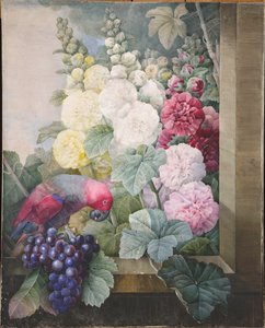 荷花、葡萄和一只鹦鹉，1836年。 作者 皮埃尔·约瑟夫·雷杜特