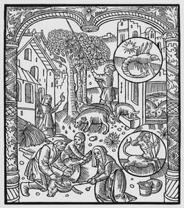 十一月，杀死猪和收获橡子，天蝎座，插图来自&39;Almanach des Bergers&39;，1491（xylograph）