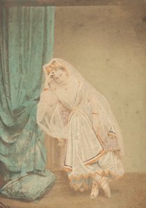 [穿皮草长袍的伯爵夫人或扮演朱迪思]，1860年代。 作者 皮埃尔·路易斯·皮尔森