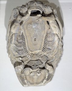 国王路易十四（1638-1715）的武器（大理石）。