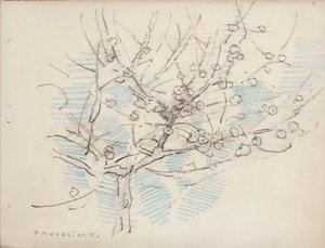 开花的树，c.1917-18（纸上铅笔和蜡笔） 作者 彼得·蒙德里安
