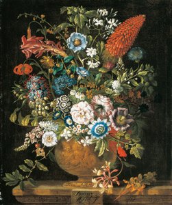 八月，来自《十二个月的花朵》，一幅静物的花卉日历 作者 彼得卡斯特尔