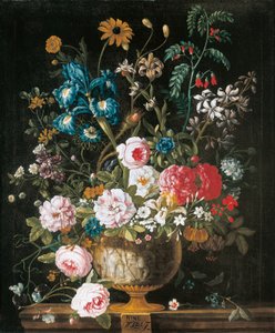 六月，来自《十二个月的花朵》，一幅静物的花卉日历 作者 彼得卡斯特尔
