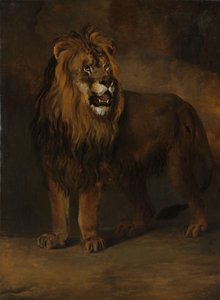 路易-拿破仑国王动物园的狮子，1808 年