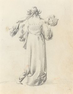 从背后看女士