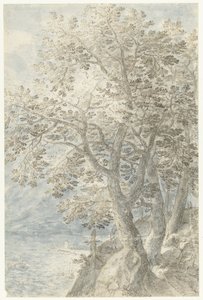陡峭岩壁上的树木 作者 彼得史蒂文斯 (II)