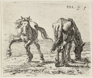德语: Zwei Pferde auf einer Weide
法语：Les deux chevaux au pâturage
草地上的两匹马
