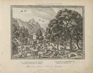 人的剪裁
Adumbrata humanitate divinitas（物品标题）
Emblemata Sacra è praecipuis utriusque testamenti historiis concinnata (Oude Testament)（系列标题）
Imagines et figurae bibliorum（丛书名称） 作者 迈克尔·科林
