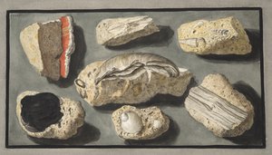 从威廉·汉密尔顿爵士（1730-1803）发表的“Campi Phlegraei：对两个西西里火山的观察”，赫拉库兰姆及其周围发现的图法的标本1776年出版（手册