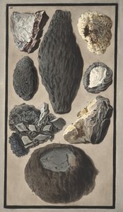 火山物质的标本，来自&39;Campi Phlegraei：对两个西西里火山的观测&39;，由威廉姆斯汉密尔顿爵士（1730-1803）发表，1776年出版（手工彩色雕刻） 作者 彼得罗·法布里斯（Pietro Fabris）