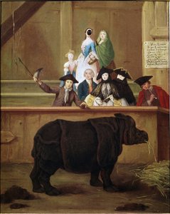 犀牛：印度犀牛克拉拉展览。 Pietro Longhi (1702-1785) 的绘画。 1751. 18 世纪威尼斯博物馆。 Ca