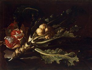 花椰菜和石榴 作者 彼得罗·保罗·邦兹（Pietro Paolo Bonzi）