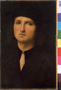 Portrait de jeune homme（年轻人肖像）。Pietro di Cristoforo Vannucci dit Pietro Perugino 的画作（《佩鲁贾》）。 作者 彼得罗·佩鲁吉诺（Pietro Perugino）