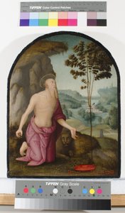 圣杰罗姆在荒野，c.1510-15 作者 彼得罗·佩鲁吉诺（Pietro Perugino）