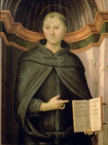 托伦蒂诺圣尼古拉斯 作者 彼得罗·佩鲁吉诺（Pietro Perugino）