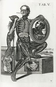 解剖桌子上的板5 作者 Pietro da Cortona