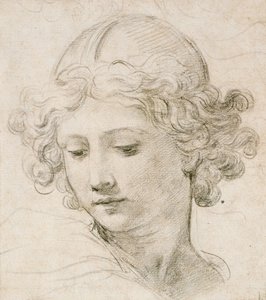 天使的头，向左向下看 作者 Pietro da Cortona
