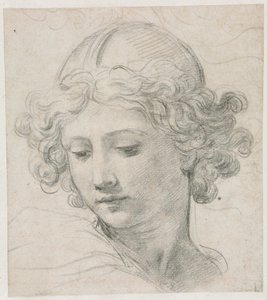 圣米迦勒头像研究 作者 Pietro da Cortona