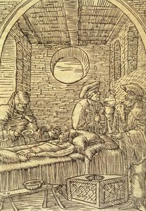 管理药用植物，1534 作者 波兰学校