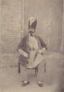 纳赛尔-丁-沙阿，约1855-58年。