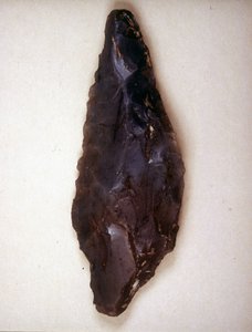 Arrows point in flint. Varèse. Museo archeologico de Milan 作者 史前史前