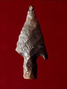 埃及古董：来自埃及法尤姆 (Fayyum 或 Fayum) 遗址的箭尖。 前王朝时期。 Verone，Museo Civico di Storia Naturale，意大利 作者 史前史前